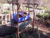 /album/photogallery/week1-006-jpg/